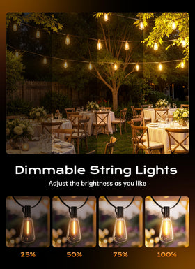 Minetom ST38 LEDs deliver durable bright outdoor lighting.