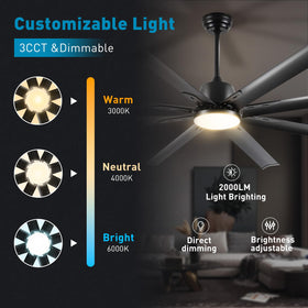 Minislak three downrods provide installation flexibility for different ceilings.
