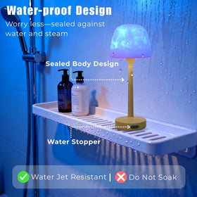 MKIIACH IP67 Waterproof Shower Light safe for use inside showers