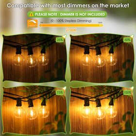 Mlambert 53-shatterproof bulbs provide safer outdoor lighting on porches and patios.