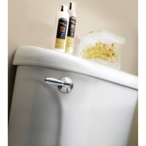Moen Brantford collection pairing with coordinating fixtures for cohesive bathroom charm.