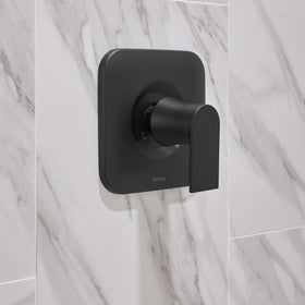 Moen Genta LX M-PACT system enables future trim updates.