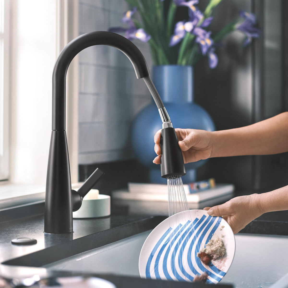 Moen Haelyn kitchen set view shows coordinated faucet and dispenser setup.