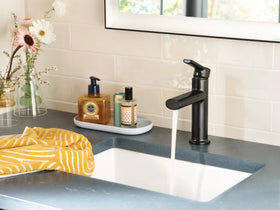 Moen Meena faucet in a modern bath shows minimal single-hole look