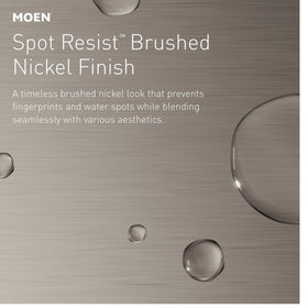 Moen Wellton lifetime warranty information sign