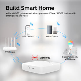 MOES gateway app control interface for remote device management.