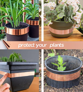 MOGEHIT garden barrier copper tape protecting plants against slugs