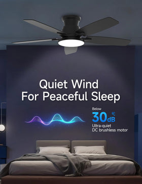 MOLSKY whisper-quiet DC motor for peaceful spaces.