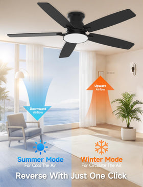 MOLSKY reverse airflow feature for year-round comfort.