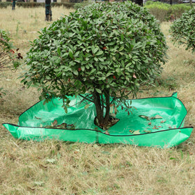 Moonoom Landscape Tarp shows 12-inch hole and setup around plants for pruning