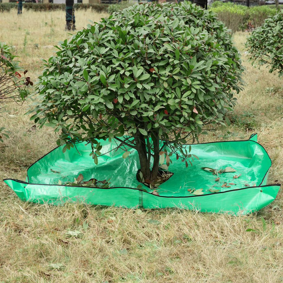 Moonoom Landscape Tarp shows 12-inch hole and setup around plants for pruning