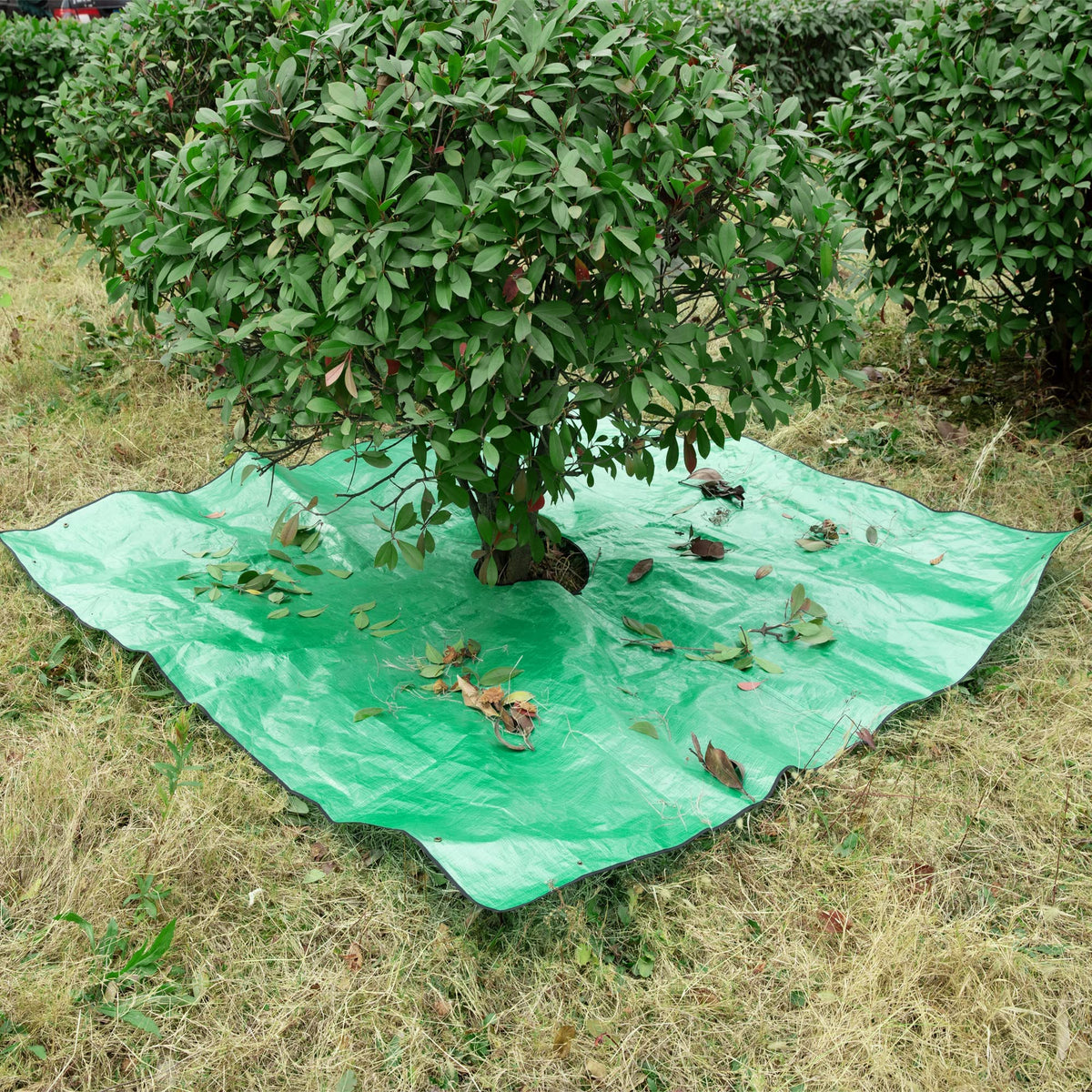 Moonoom tarp easy to clean, fold, and store after use
