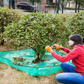 Moonoom Landscape Tarp used for multiple garden pruning tasks