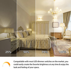 MorningLight flicker-free performance protects eyes during extended use.