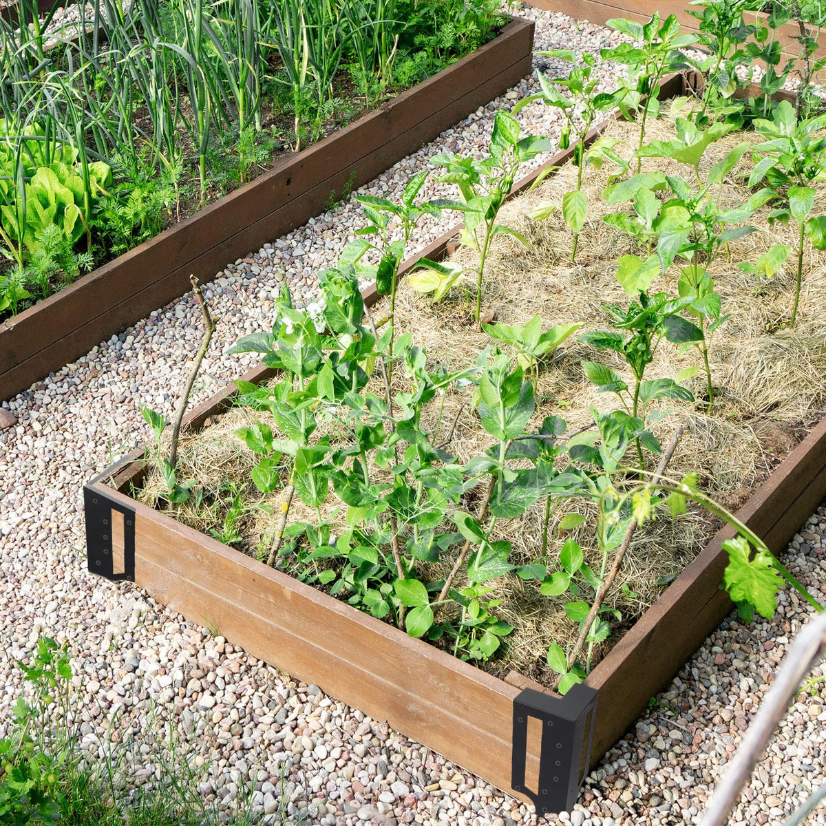 MorningRo sleek black finish adds modern look to outdoor garden spaces