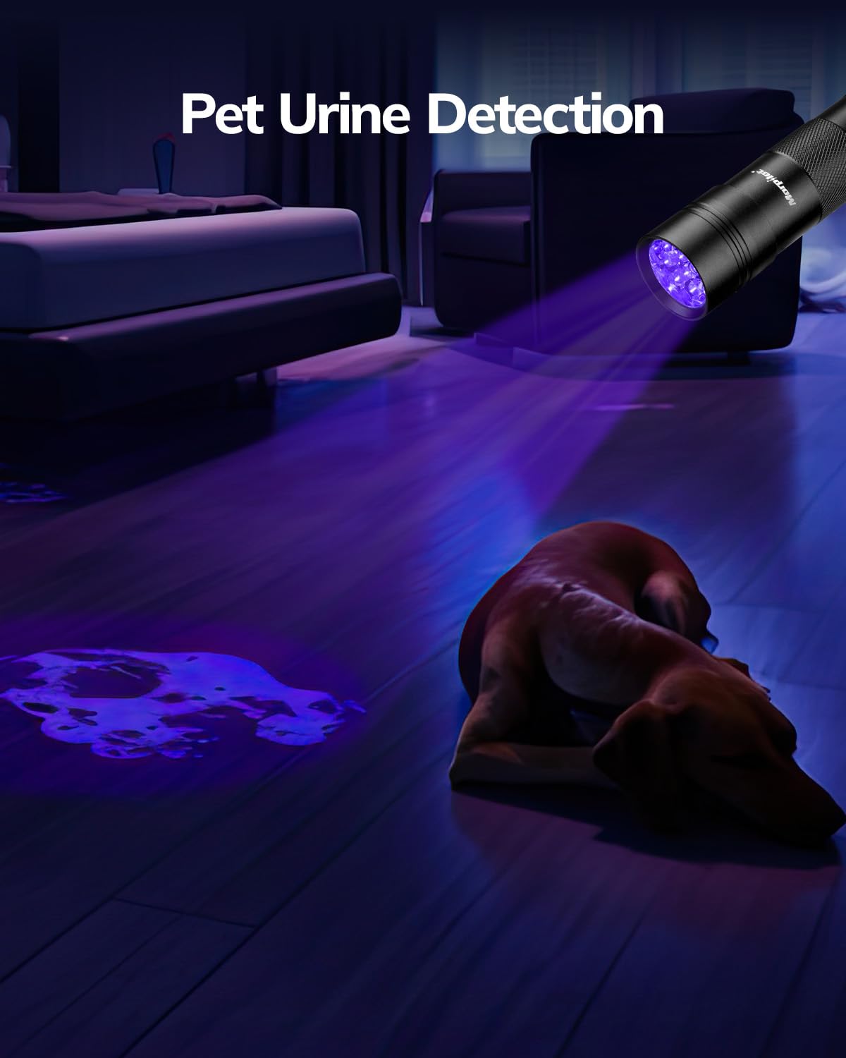 Morpilot stain detection helps spot pet urine on carpets and clothes.