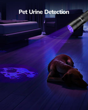 Morpilot stain detection helps spot pet urine on carpets and clothes.