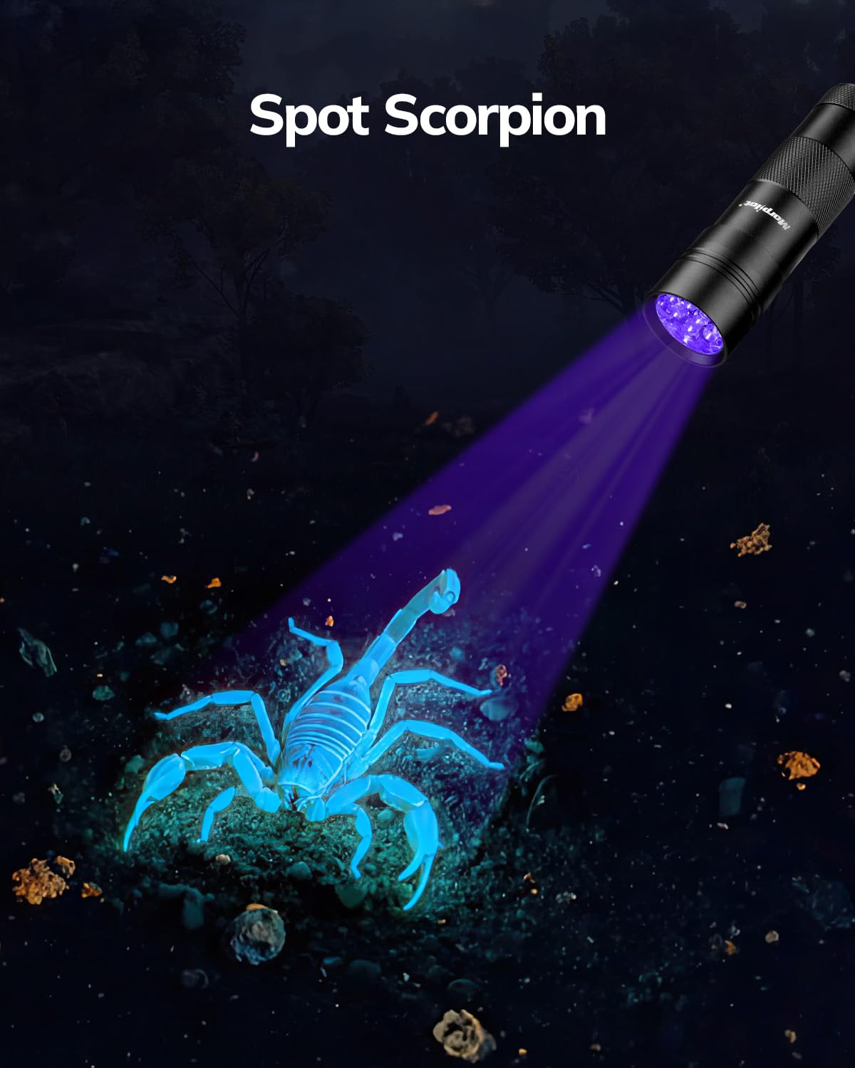 Morpilot UV flashlight verifies currency, passports, and IDs securely.