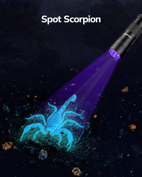 Morpilot UV flashlight verifies currency, passports, and IDs securely.