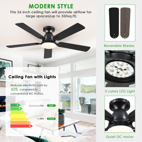 Mpayel black finish adds modern sophistication to any space.