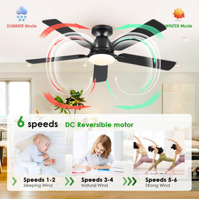 Mpayel quiet DC motor ensures near-silent operation for peaceful rooms.