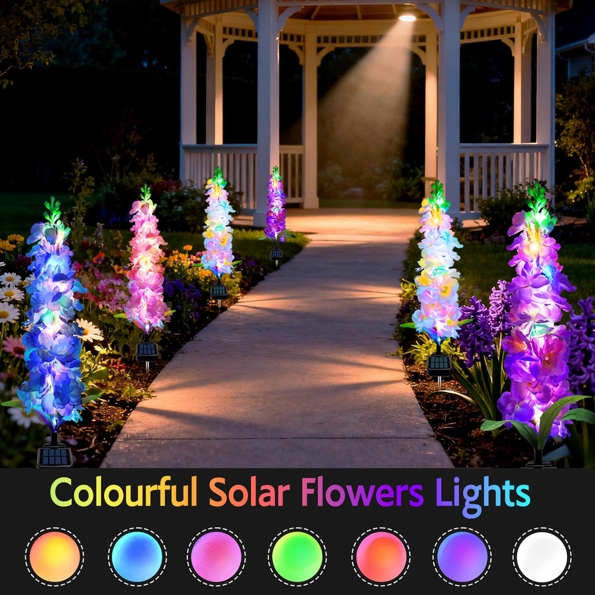 MRHEPHAESTUS solar delphinium purple bloom adds whimsical evening color