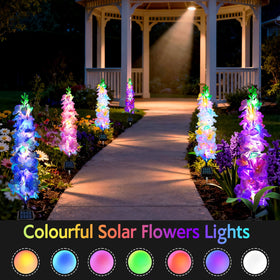 MRHEPHAESTUS solar delphinium purple bloom adds whimsical evening color