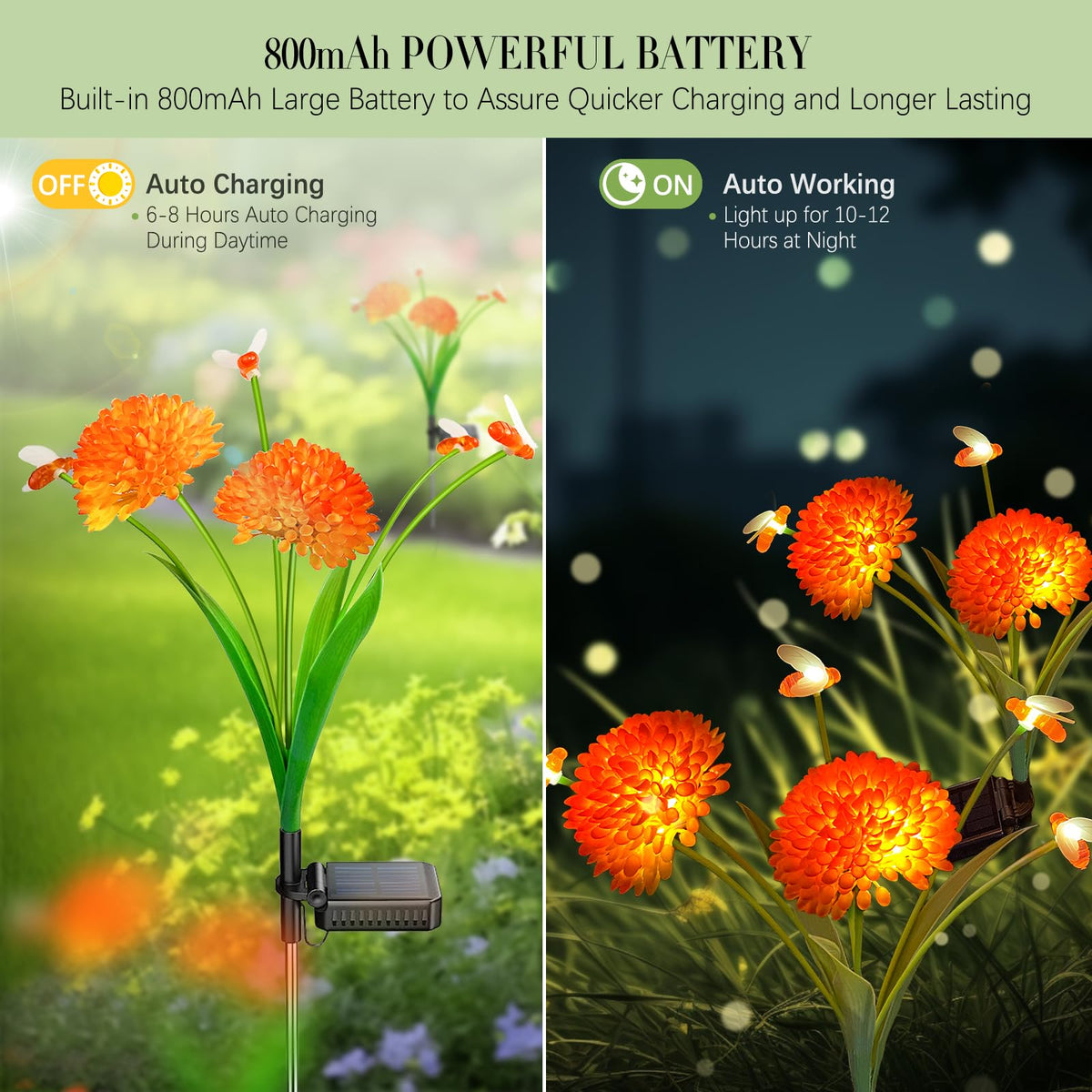 MRHEPHAESTUS solar flower lights illuminate flower beds with vivid evening glow