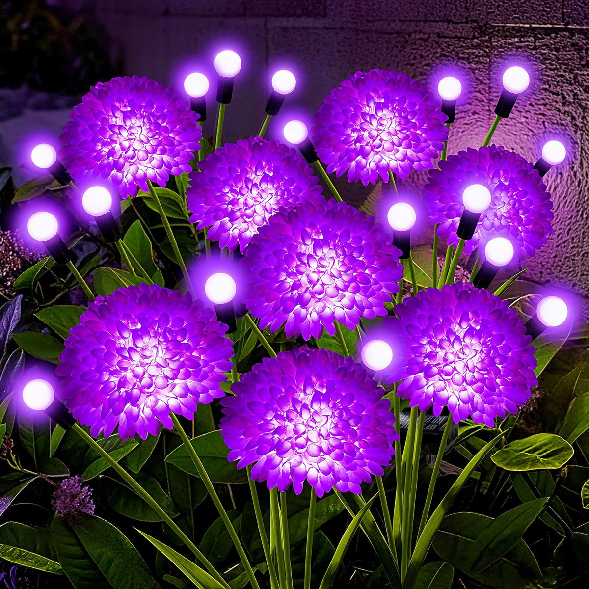 MRHEPHAESTUS solar garden lights show purple flower heads for enchanting evening decor.