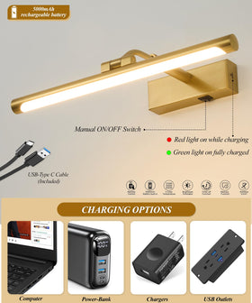 Musanne 16-inch art light ideal for living rooms, studios, and galleries.