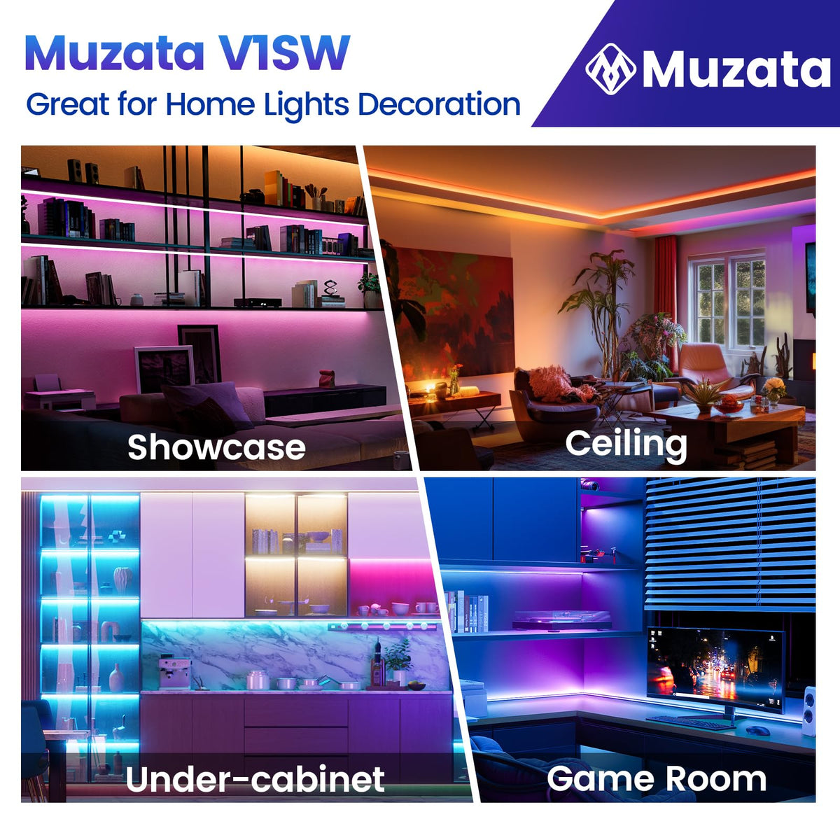 Muzata V1SW extension LCB2 enables longer lighting runs