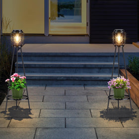 MXwcy plant display with lighting boosts curb appeal