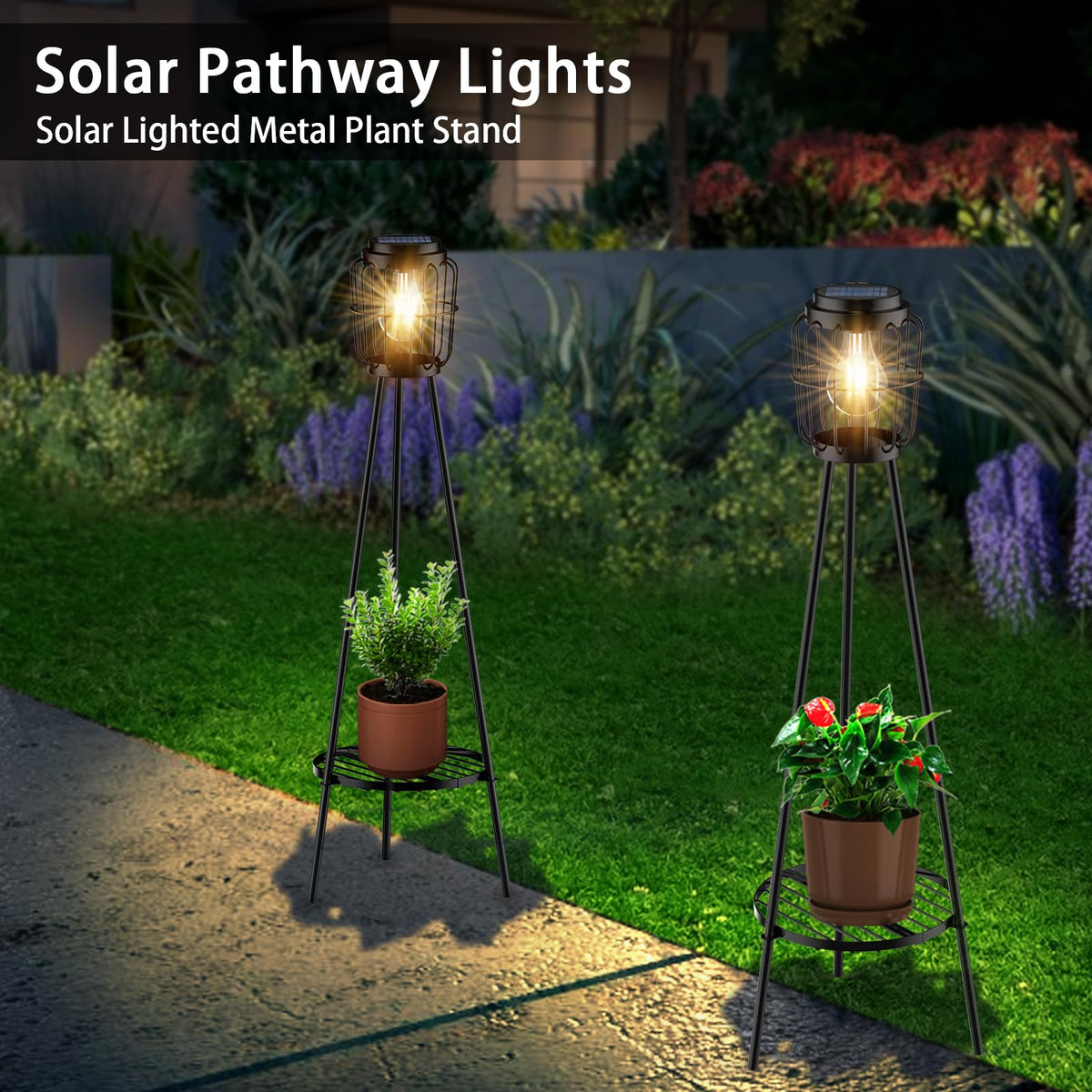 MXwcy IP65-rated design withstands rain and cold