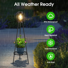 MXwcy LED Edison bulbs close-up showcase retro charm