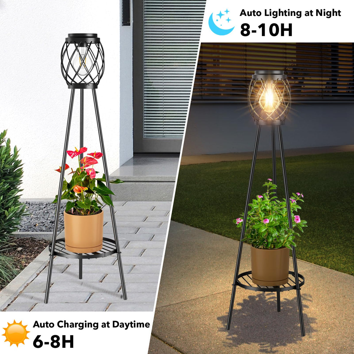 MXwcy vintage LED bulbs provide nostalgic warmth in a garden setup.