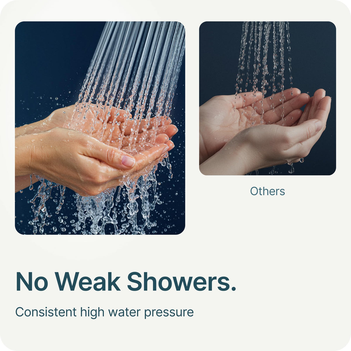 Filter cartridge visual emphasizes semi-transparent housing and replacement reminder