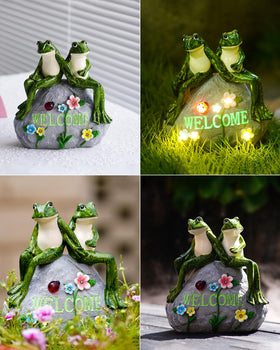 Nacome succulent frog statue as a yard focal point