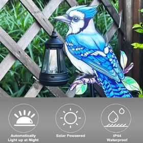 Nanzhujin outdoor bird lights decorate balconies with gentle post-sunset glow.