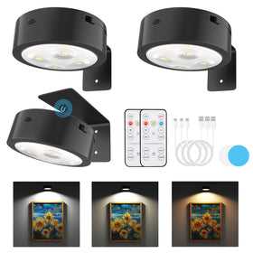 Narotood picture light on wall with remote control for easy dimming.