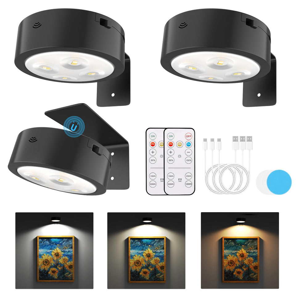 Narotood picture light on wall with remote control for easy dimming.