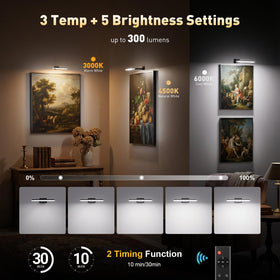 NARUNDREN 2 Pack dimmable LED picture light for customizable wall decor ambiance
