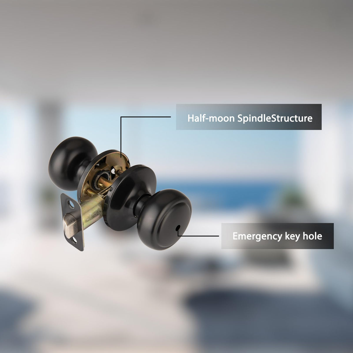NCSEN latch adjustable for 2-3/8 or 2-3/4 inch backsets