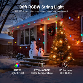NEEWER AI RGBW control box enabling smart app and voice control