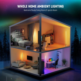 NEEWER NF01 connected via 2.4GHz Wi-Fi for smooth control