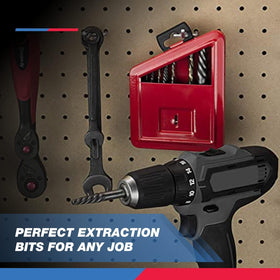 Includes five left-hand bits and five extractors for versatile repairs.