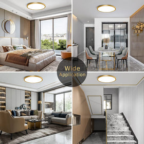 NELTBESIN front-view gold flush-mount highlights the slim profile.