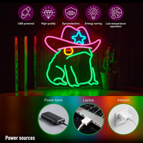 NEONLAND USB powered neon sign conveniently runs on a 5V USB port.
