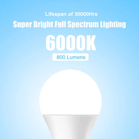 Neporal 60W-equivalent 9W LED reduces energy use