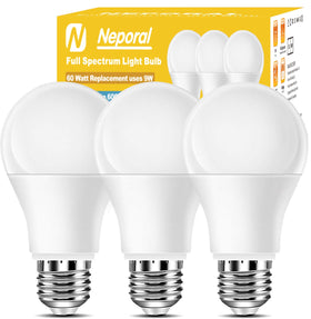 Neporal full-spectrum bulb on a desk setup for crisp daylight task lighting