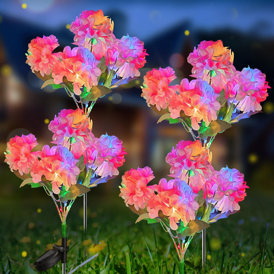 Neporal five-head hydrangea blooms glow at dusk for garden decor.